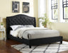 CARLY E.King Bed, Black image